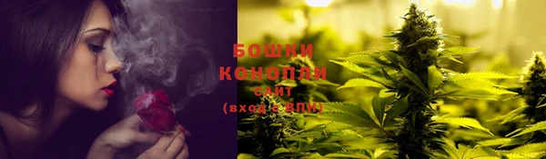 apvp Пересвет